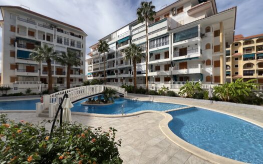 Apartamento en Torrevieja | La mata | 6826