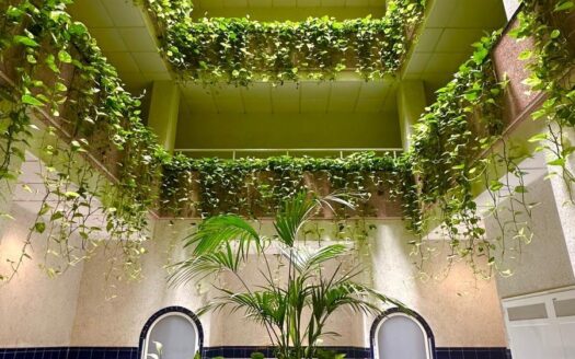 Ático en Torrevieja | Centro | 8503