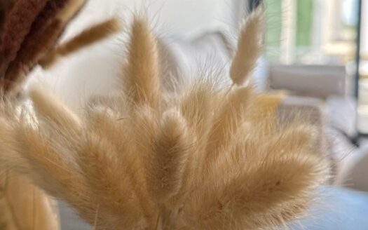 Apartamento en Pueblo, San Fulgencio | EE9898