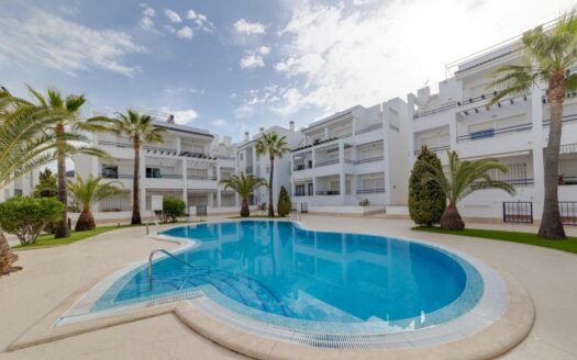 Apartamento en Torrevieja |  | 10107