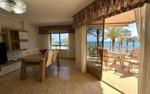 Apartamento en Torrevieja |  | 10203