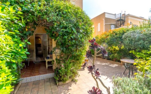 Apartamento en Torrevieja |  | 9920