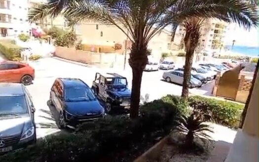 Apartamento en Guardamar del Segura |  | 10430