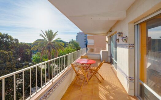 Apartamento en Guardamar del Segura |  | 10646