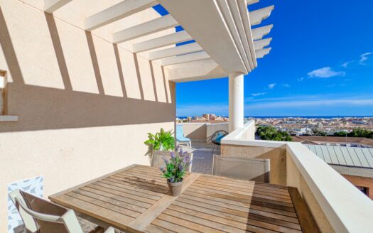 Apartamento en Torrevieja |  | 10618