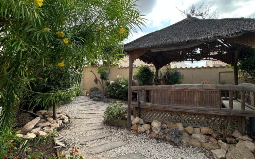 Villa in Ciudad Quesada | EE10347