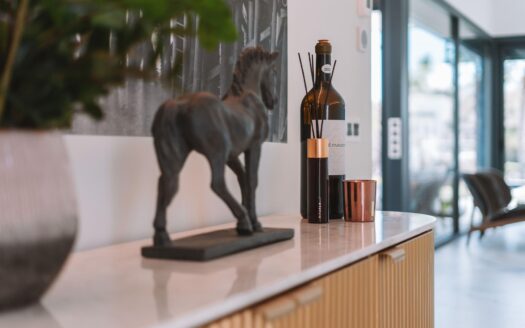 Villa in San Miguel de Salinas | EE10578