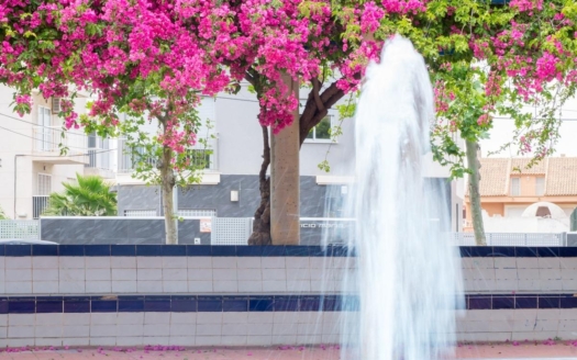 Apartment en Torrevieja – EE8655