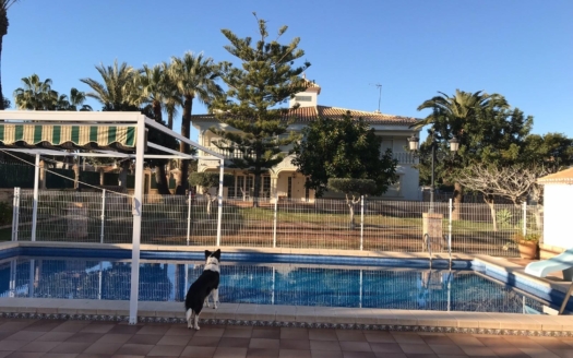 Villa à Orihuela Costa – EE8997