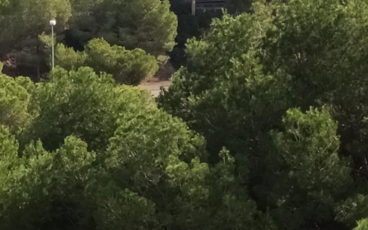 Apartamento en Orihuela Costa – EE8279