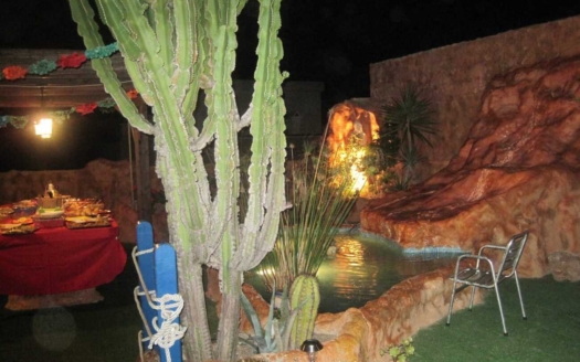 Penthouse Penthouse en La Mata – EE9751