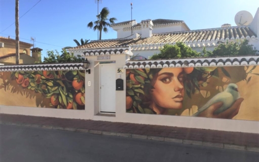 Town House en Torrevieja – EE10191