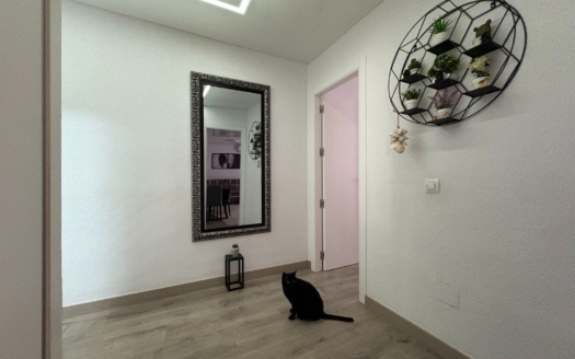 Appartement à Torrevieja – EE8590