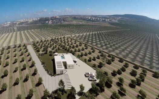 Villa en Algorfa – EE9912