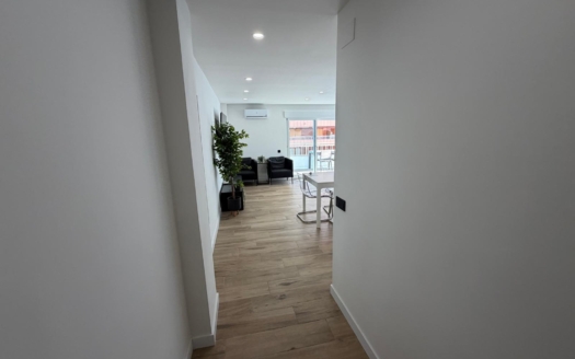 Apartment in Torrevieja – EE11185