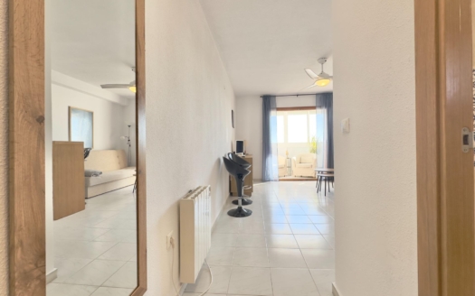 Studio w Torrevieja – EE11329