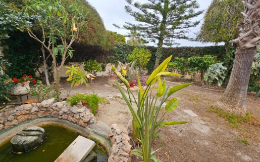 Villa in Torrevieja – EE11497