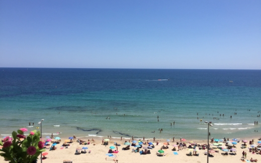 Apartment in Mil Palmeras – EE11707