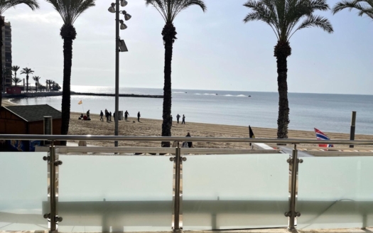 Duplex in Torrevieja – EE8798