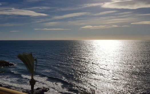 Apartment in Torrevieja – EE11826