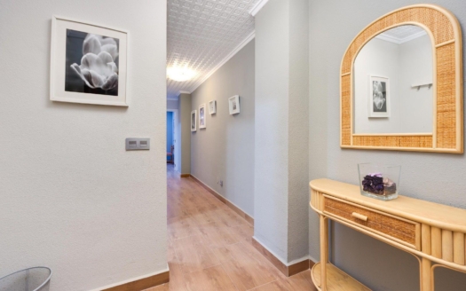 Apartment in Torrevieja – EE11959