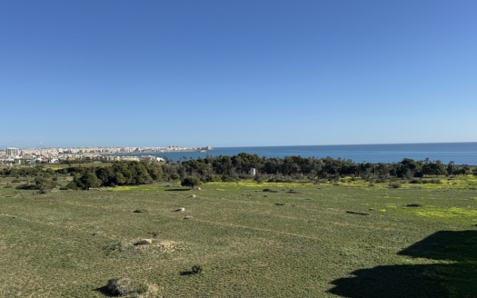 Penthouse à Punta Prima – EE11917