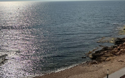 Apartment in Torrevieja – EE9713