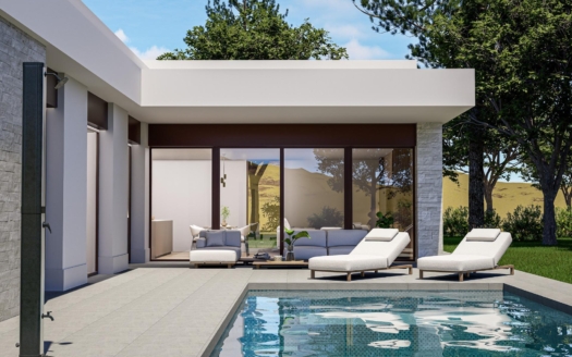 Villa à Pinoso – EE11861