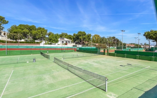 Dom w Torrevieja – EE12457