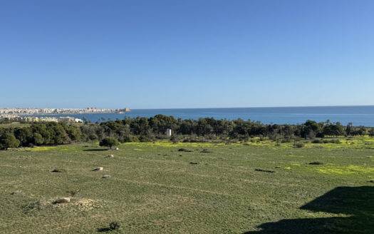 Penthouse à Punta Prima – EE11236