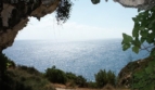 bilde