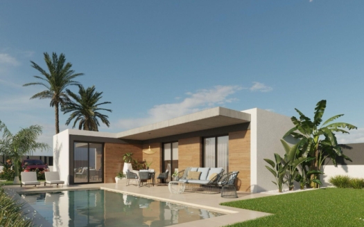 Villa in Molina De Segura – EE12166