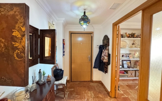 Apartment in Torrevieja – EE12563