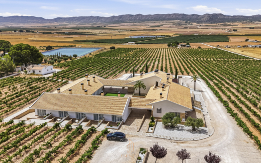 Private Wine Estate, Boutique Hotel & Winery in the Heart of Southern Spain – EE13234