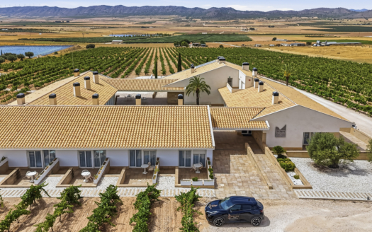Private Wine Estate, Boutique Hotel & Winery in the Heart of Southern Spain – EE13234