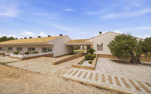 Private Wine Estate, Boutique Hotel & Winery in the Heart of Southern Spain – EE13234