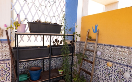 Tomannsbolig i Torrevieja – EE13122