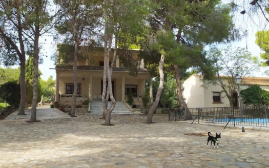 Villa i Torrevieja – EE13381