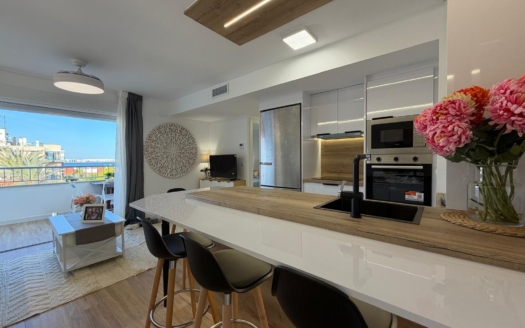 Apartament w Torrevieja – EE13209