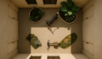 bilde