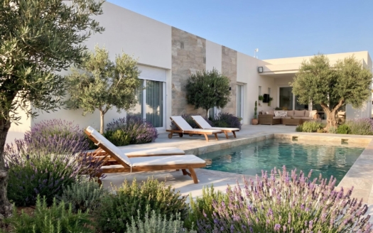 Villa in Pinoso – EE13497
