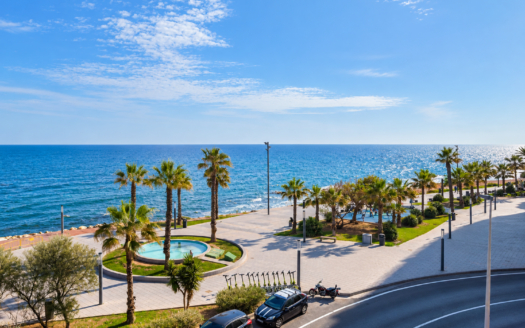 Apartment in Torrevieja – EE13954