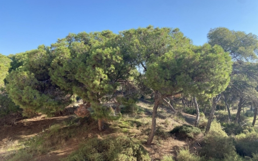 Wohnung in Guardamar del Segura – EE13960