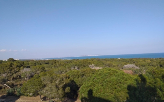 Apartment in Guardamar del Segura – EE12140