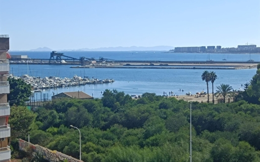Apartment in Torrevieja – EE14134