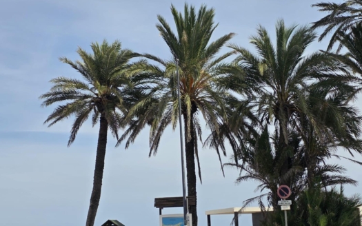 Apartment in Orihuela Costa – EE14040
