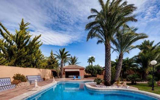 Villa in Torrevieja – EE14188