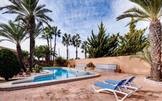 Villa in Torrevieja – EE14188